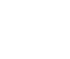 New energy vehicle